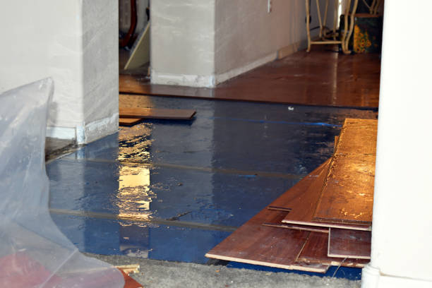 Professional Basement Flood Cleanup technician working in Decatur, AR